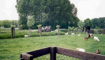 Kinderboerderij De Bijlmerweide