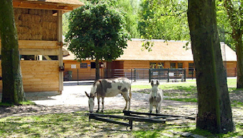 amstelpak stadsboerderij