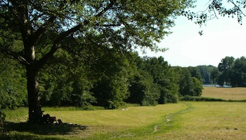 Amsterdamse Bos – Amsterdam