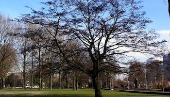 Martin Luther Kingpark – Amsterdam