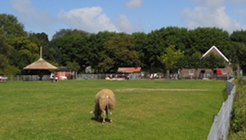 Stadsboerderij de Herweijerhoeve – Den Haag