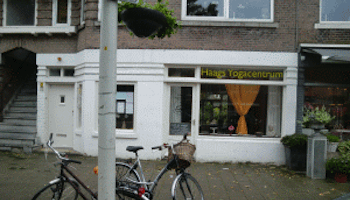 HAAGS YOGACENTRUM – DEN HAAG