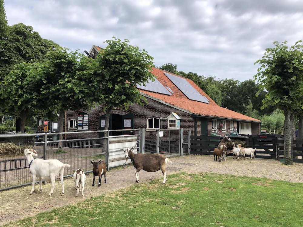 BuurtBoerderij De Nijkamphoeve