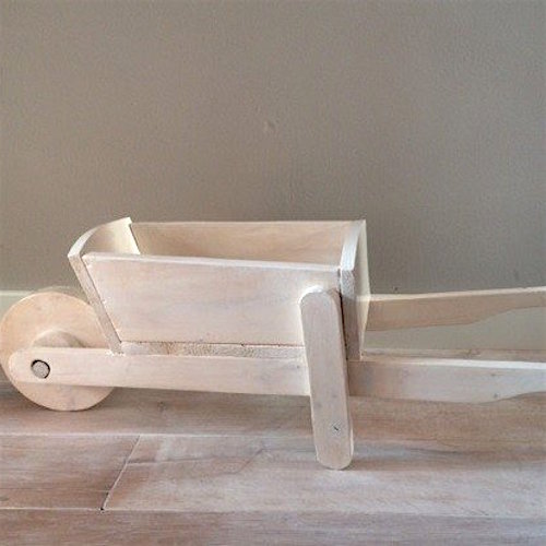 Toeti for Kids Kruiwagen