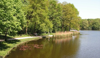 Het Haagse Bos – Den Haag