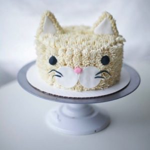 kattentaart