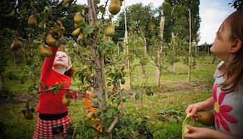 fruittuinenwest-amsterdam