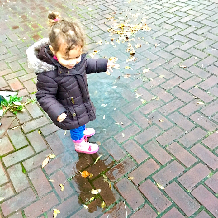 stampen-in-de-plassen
