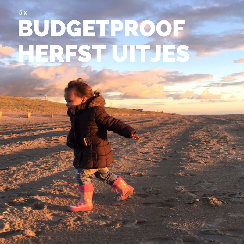 budgetproof-herfstuitjes