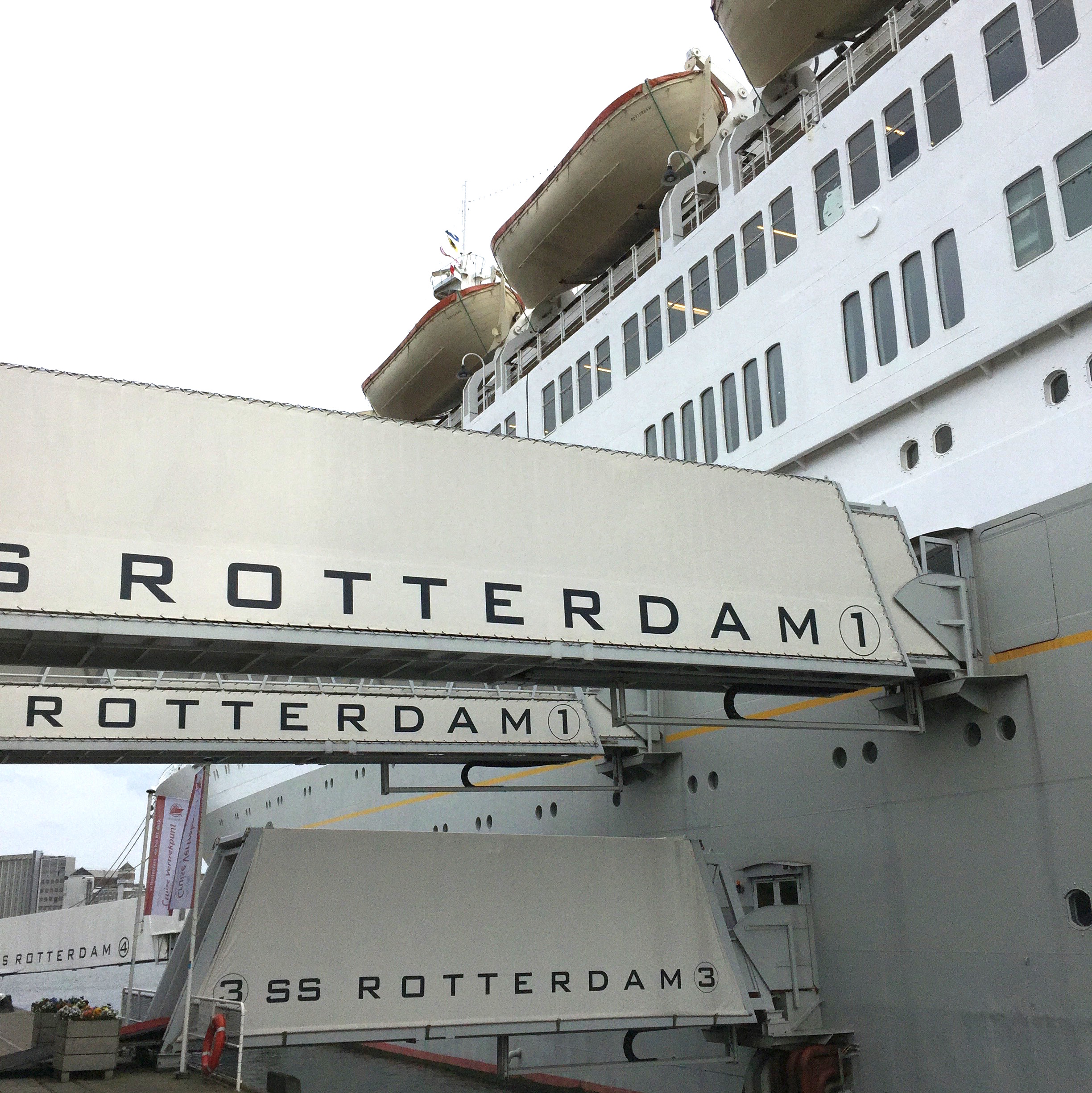 SS Rotterdam 