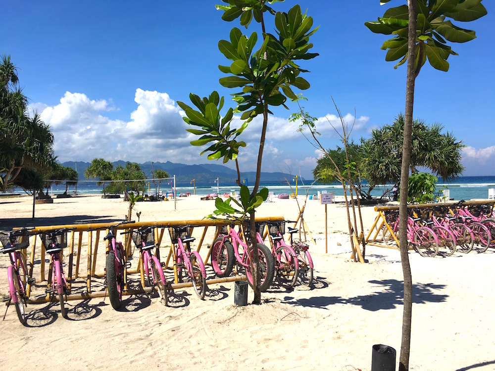 NUSA LEMBONGA & GILI TRAWANGAN INDONESIE MET KINDEREN | CITYMOM.nl 10