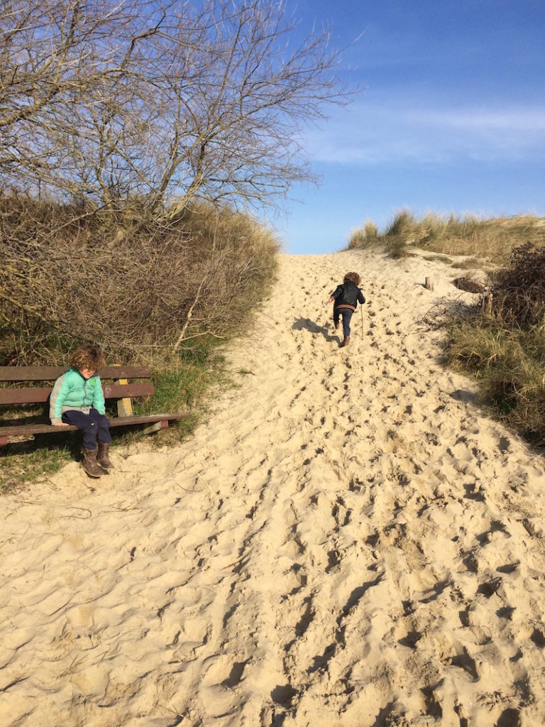 zeeuws vlaanderen