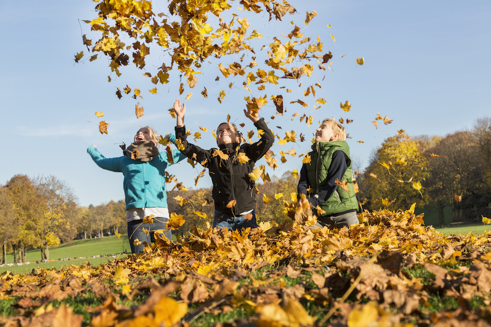 12X DE LEUKSTE TIPS VOOR DE HERFSTVAKANTIE IN HEEL NEDERLAND!