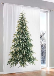 Komst cel terrorist https::www.bonprix.nl:product:led-gordijn-met-kerstboom-1-stuk-wit-groen-933367:?  -