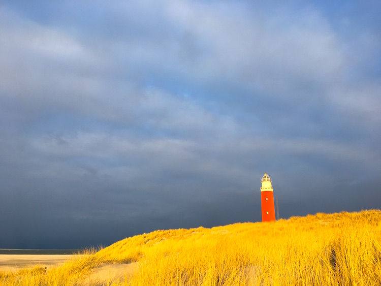 TEXEL MET KINDEREN ALLE TIPS 