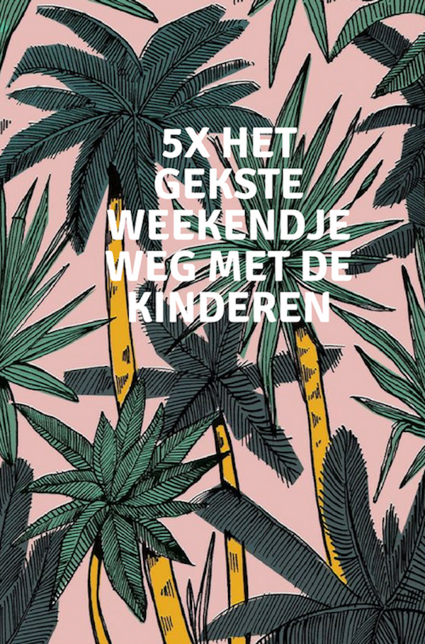 eb Flikkeren Bedrog 5 X HET GEKSTE WEEKENDJE WEG MET KINDEREN IN NEDERLAND