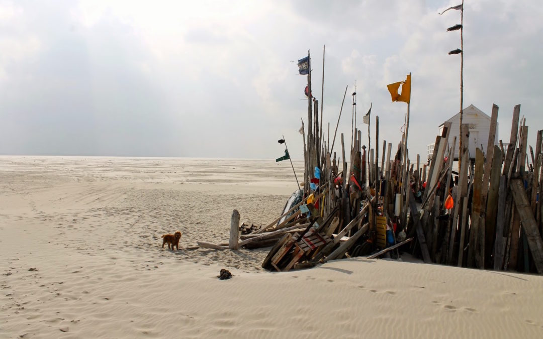 NAAR VLIELAND MET KINDEREN; DÉ TIPS WAAR JE OP HET EILAND MOET ZIJN