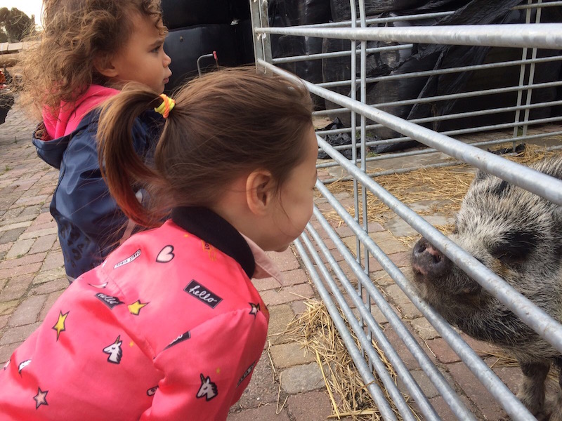 Belevenisboerderij Schieveen – Rotterdam