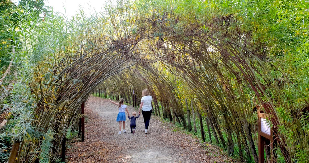 Survival ardennen met kind