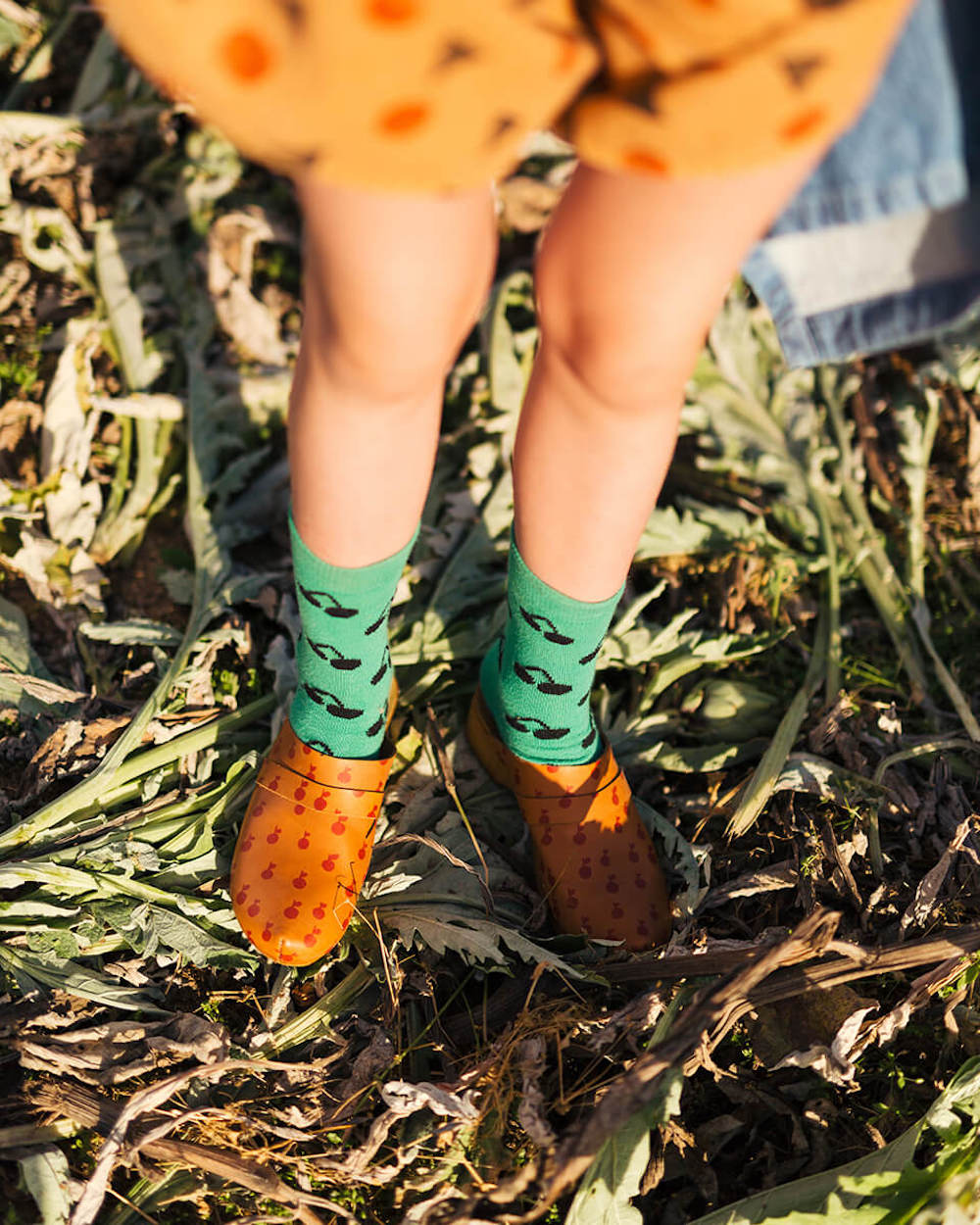 TUINIEREN MET KINDEREN. Wat te planten? Top 10 gewassen voor kinderen.