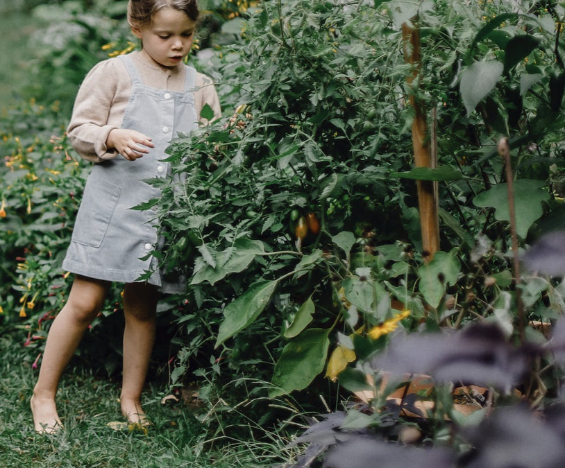 3X TIPS OM JE TUIN OP TE FLEUREN