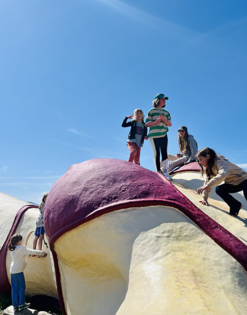 Basekamp IJmuiden