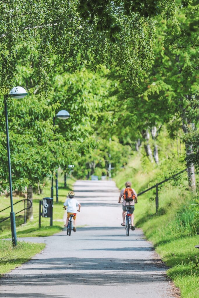 OP DE FIETS NAAR SCHOOL MET EEN FIETSMAND, FIETSKRAT OF FIETSTAS? 