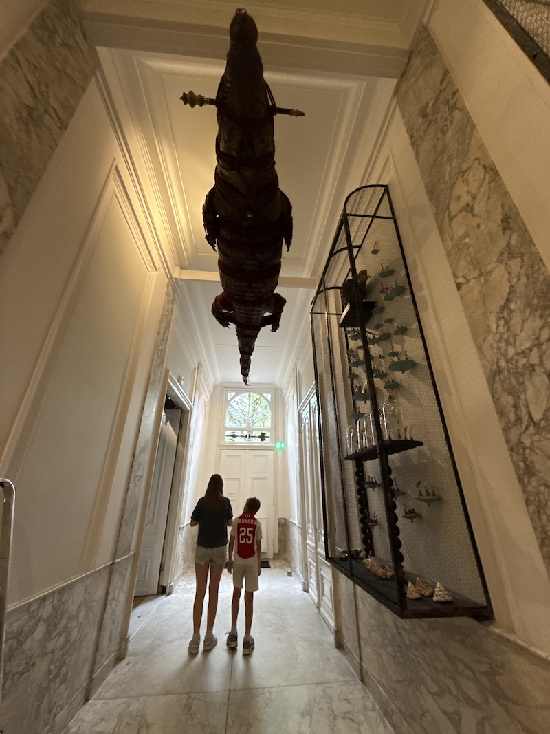 ART ZOO 