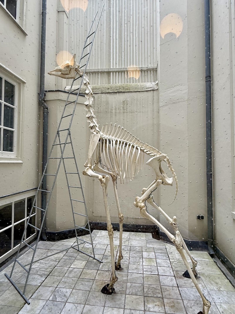 ART ZOO 