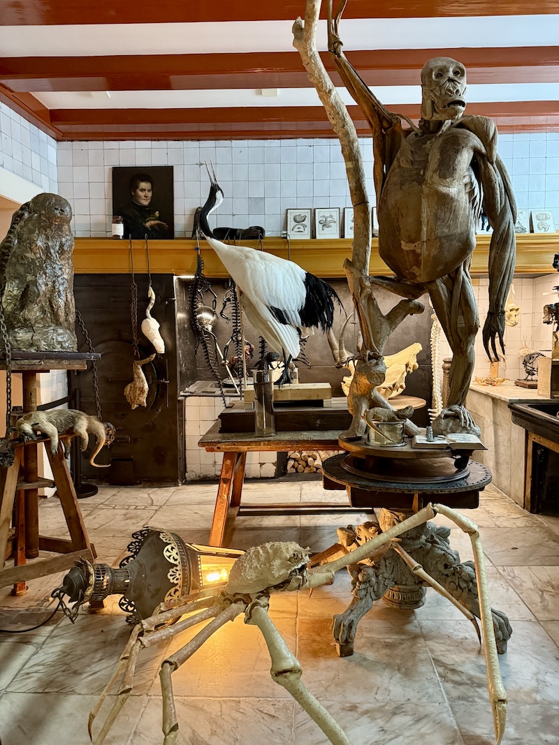 ART ZOO 