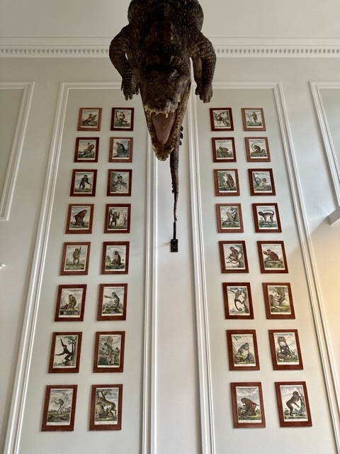 NIEUW; ART ZOO MUSEUM IN AMSTERDAM
